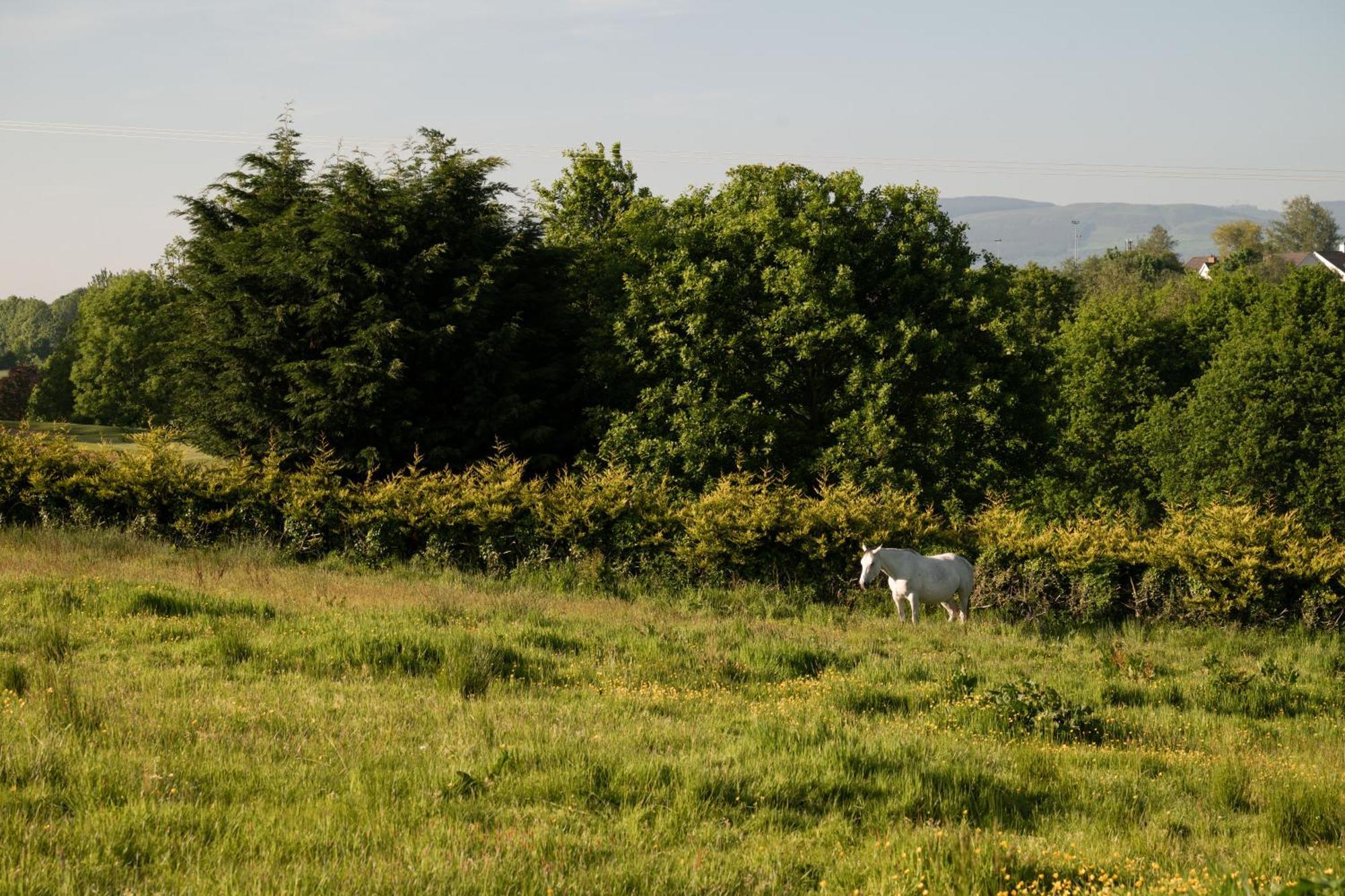 Roe Valley Hotel